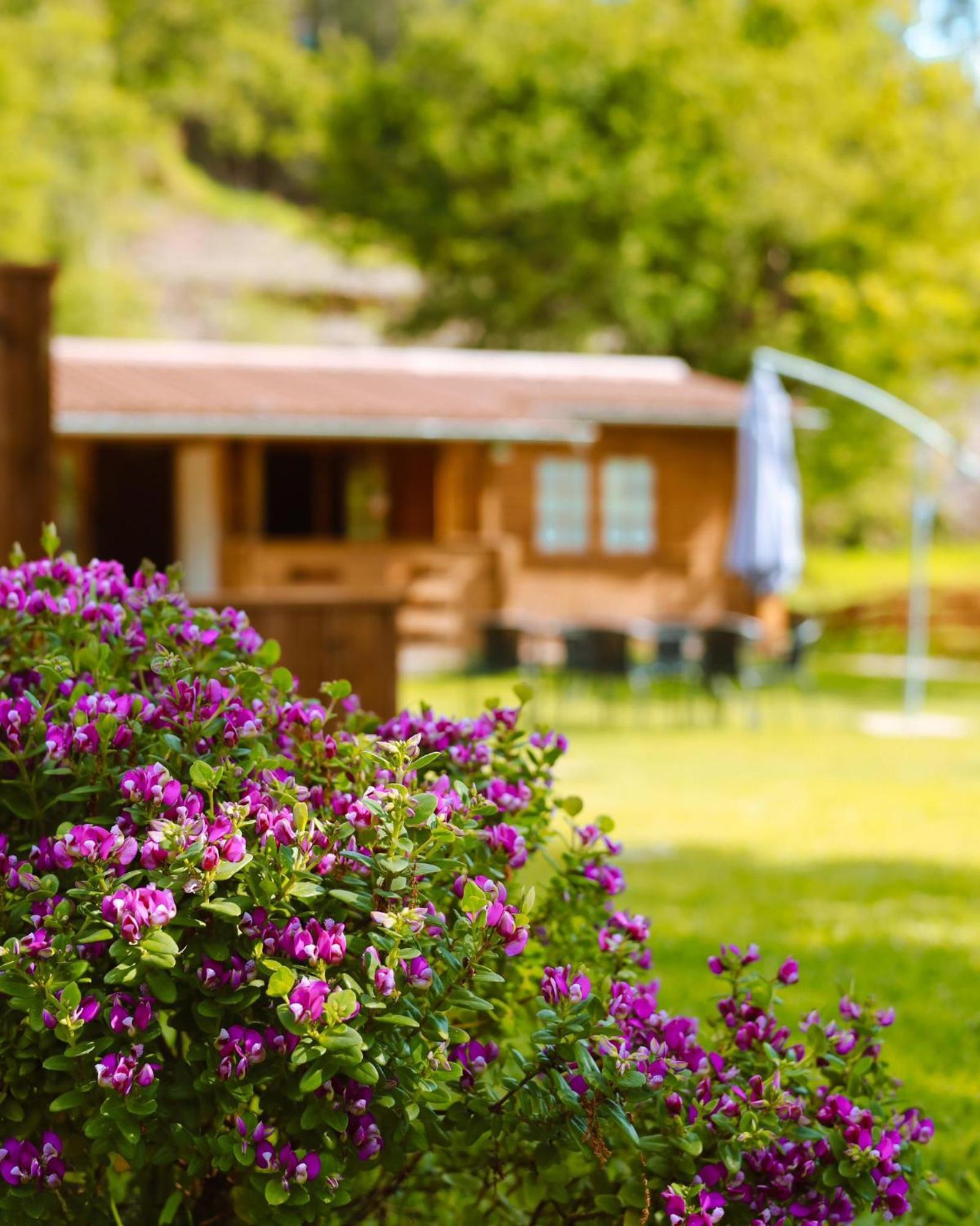 Ohana Geres House Ruivais Экстерьер фото